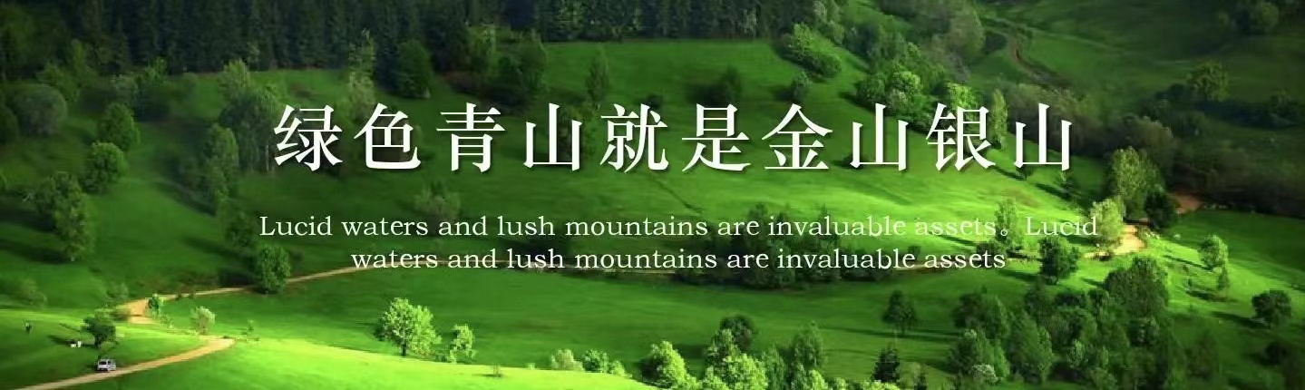 广告标题